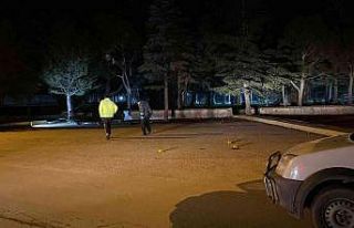 Aile üyeleri arasında çıkan kavgada yanlışlıkla...