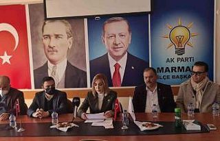 AK Parti Muğla Milletvekili Gökcan; “Yanan alanlar...