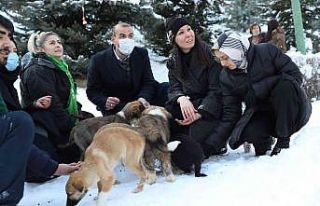 AK Parti’den can dostlar için büyük seferberlik