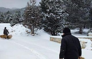 Akdağ’da yaban hayvanları için yem bırakıldı