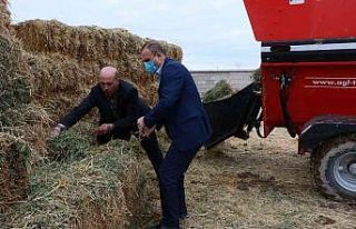 Aksaray hayvancılıkta 22 milyon liralık 257 projeyle...