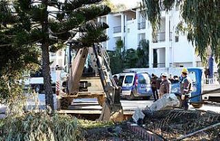 Alanya’da 17 kaçak yapı yıkılıyor