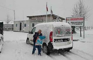 Altınova’da can dostları emin ellerde