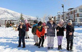 Amasya’da minik öğrenciler kuşlar ve sokak hayvanları...