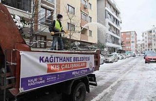 Ana cadde ve ara sokaklar kardan temizlendi