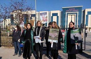 Anadolu yaban koyunu ve yaban keçilerinin akıbeti...