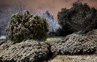 Anadolu Yakası’nda kar yağışı etkili oldu