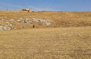 Ankara Büyükşehir 14 taşınmazını ihaleyle satışa...