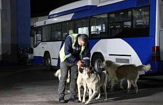 Ankara’da köpekle eğlenceli dakikalar geçiren...