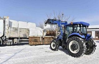 Ankara’da yüzde 100 hibe hayvan yem desteği başladı