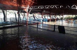 Antalya’da şiddetli yağış ırmak kenarındaki...