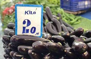 Antalya’da yaşanan fırtına seraları etkiledi,...