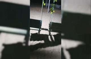 Antalya’daki korkutan depremin ardından hayat normal...