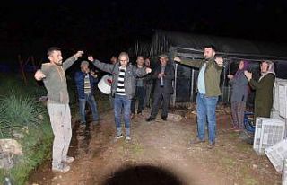 Antalyalı üreticilerin davullu zurnalı 16 saatlik...