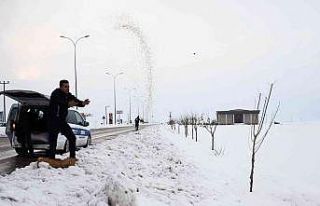 Araban Belediyesi yaban hayvanlarını unutmadı