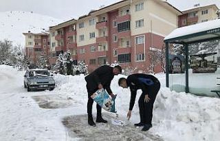 Arapgir Belediyesi, sokak hayvanlarını unutmadı