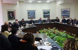 Arı ölümlerine çözüm arayışı