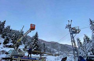 Artvin’de elektrik dağıtım şirketi çalışanlarının...