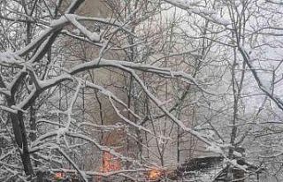 Artvin’de korkutan yangın