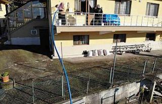 Artvinli 88 yaşındaki Emine nine tavuklarını kümese...