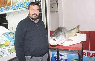 Atatürk Barajında dev turna balığı yakalandı