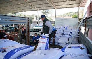 Aydın Büyükşehir Belediyesi’nden üreticiye...