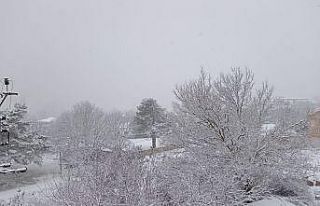 Aydın yaylaları beyaza büründü