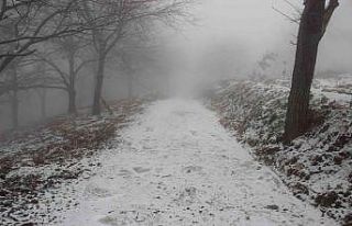 Aydın’da kar yağacak