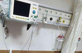 Aydın’da sokak köpekleri yaşlı kadını hastanelik...