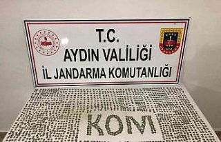 Aydın’da tarihi eser operasyonu: Bin 642 adet bronz...