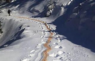 Aydın’da yaban hayvanları unutulmadı