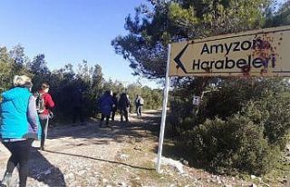 Aydın’ın öksüz kalan antik kenti Amyzon, doğaseverleri...