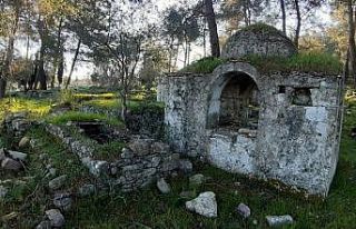 Aydınlı doğaseverlerden, tarihi mezarları koruma...