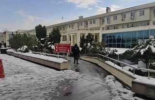 BAE ajanı olduğu iddiasıyla tutuklanan ve tahliye...