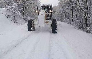 Bafra’da karla mücadele