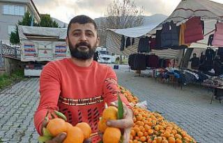 Bağışıklık sistemini güçlendiren mandalinaya...