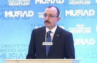 Bakan Muş: "2021 yılını dış ticarette önemli...