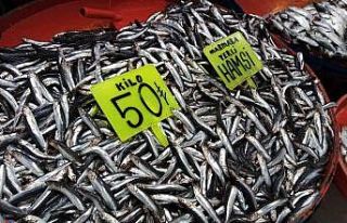 Balıkçılardan fırtına uyarısı