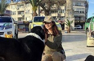 Balıkesir Körfez ilçelerinde Çevre Doğa ve Hayvanları...