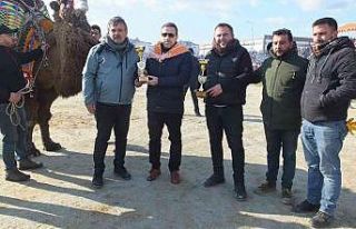 Balıkesir’de geleneksel deve güreşlerini 10 bin...
