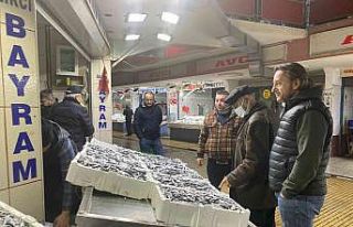 Balıkhaneden hamsi fışkırdı