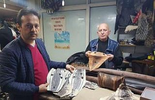Balon balığı kadın çantası oldu, cüzdan, cep...