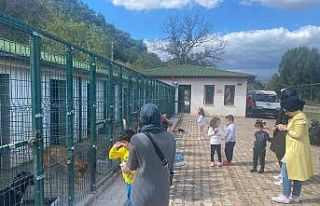 Barınak içine laboratuvar ve ameliyathane yapılacak