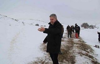 Başkan Altun yaban hayvanlarına yem verdi, yolda...