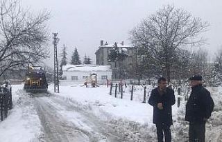 Başkan Doğan: “Hemşehrilerimizin mağdur olmaması...