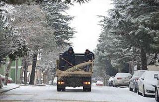 Başkan Muharrem Akçabudak: "Karla birlikte...