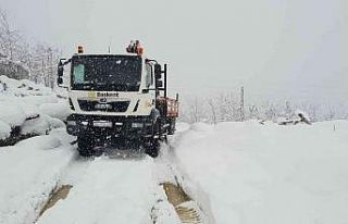 Başkent EDAŞ ekipleri sahada