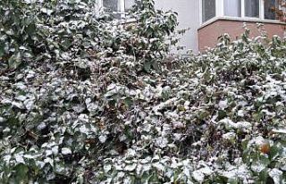 Başkent’te kar ve sis aynı anda bir arada