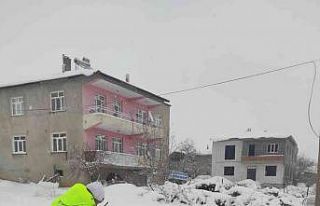 Baskil Kaymakamlığı sokak hayvanlarını unutmadı