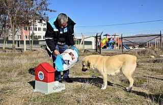 Battalgazi’de can dostlar için 19 yeni besleme...